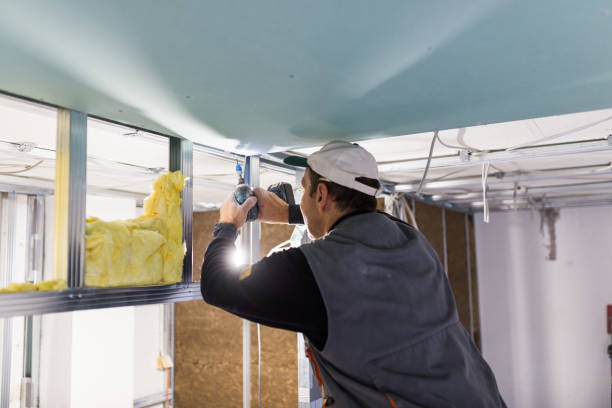 Best Energy Efficiency Insulation in Mount Pleasant, IA