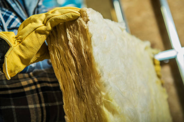 Best Insulation Maintenance and Repair in Mount Pleasant, IA