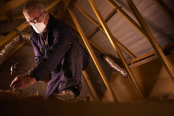 Best Specialized Insulation Services in Mount Pleasant, IA
