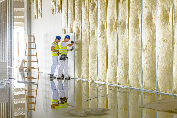 Best Eco-Friendly Insulation in Mount Pleasant, IA